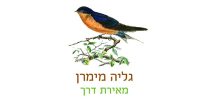 גליה מימרן – טיפול בשיטת EFT \ טאפינג