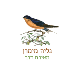 white logo